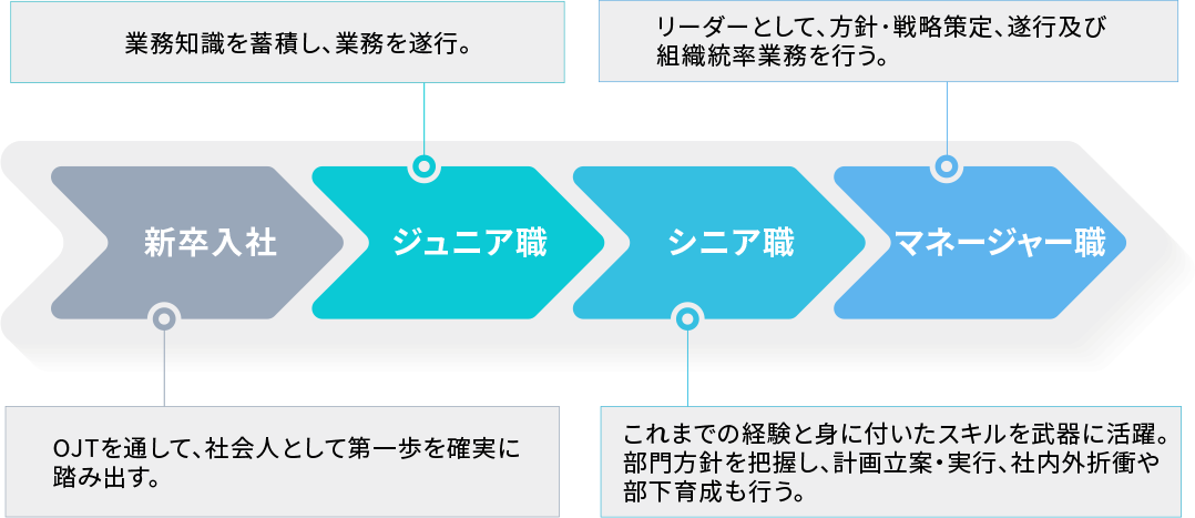 キャリアパス